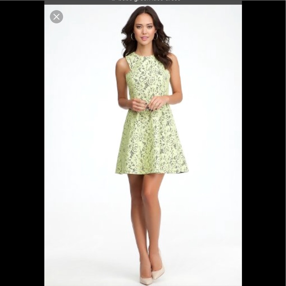 Bebe small pleated lace dress green black lining